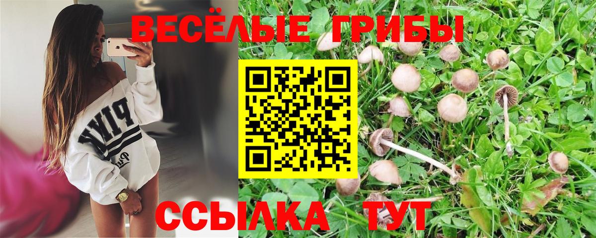 Псилоцибиновые грибы GOLDEN TEACHER  Вход с VPN  Галлюциногенные грибы прущие грибы  Кимовск 