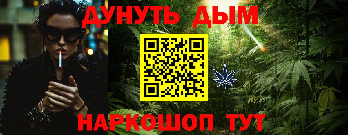 Бошки Шишки планчик Кимовск